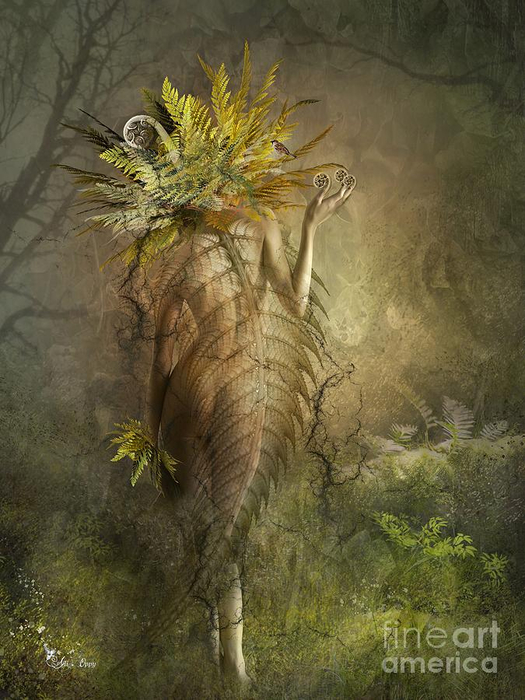 fern-ali-oppy (525x700, 378Kb)