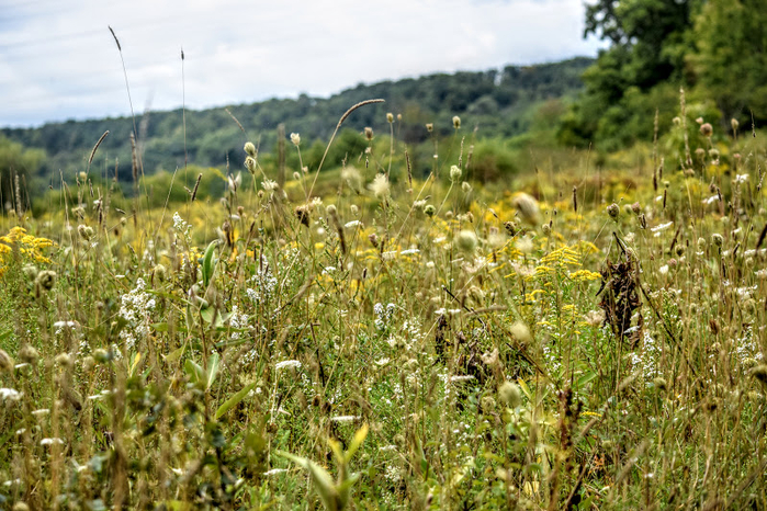 s1a (700x466, 509Kb)