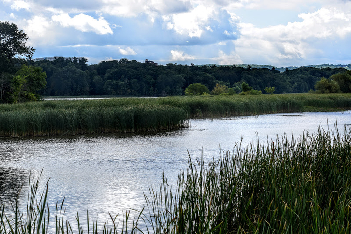 s10 (700x466, 445Kb)