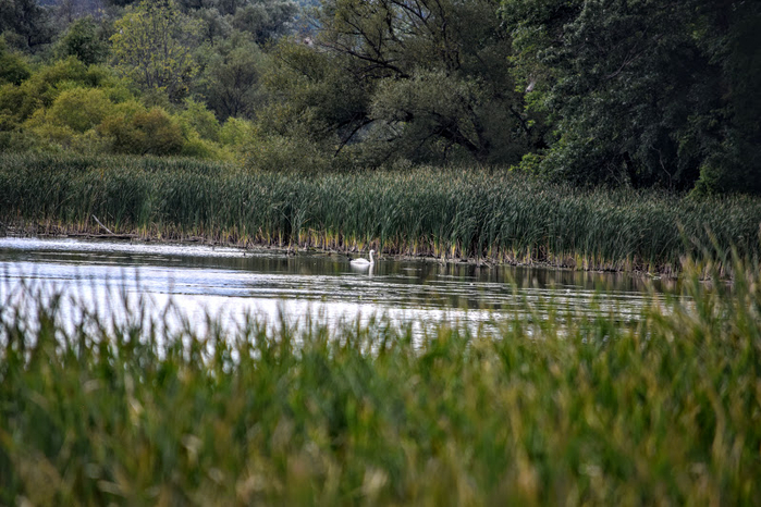 s13 (700x466, 415Kb)