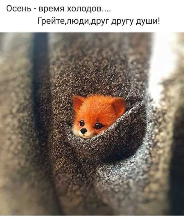 3416556_7WBGAQ4iQvU (591x700, 41Kb)