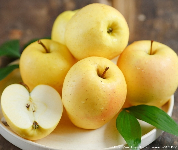 5177462_Image_6_1_ (700x588, 262Kb)