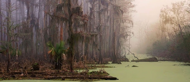 8 (640x277, 147Kb)