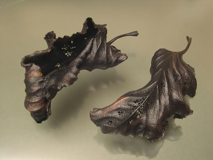 Ebony_Leaf_dblexp2 (700x525, 200Kb)