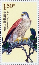 Common-Kestrel-Falco-tinnunculus (134x225, 21Kb)