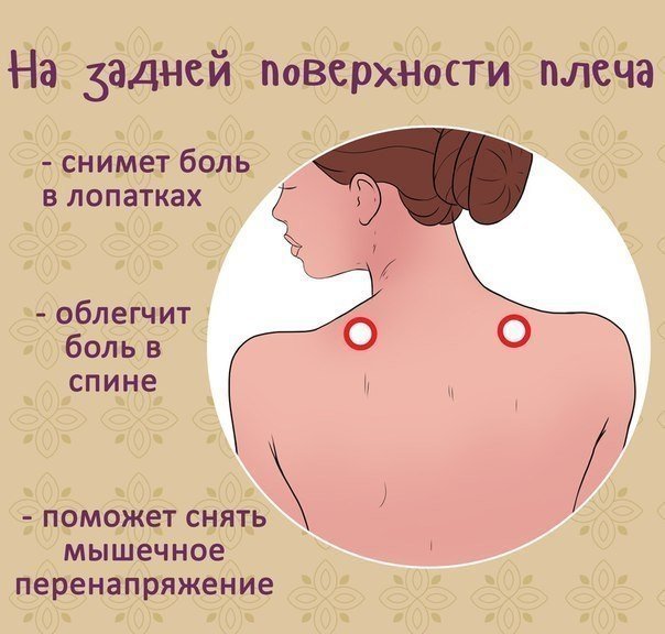 1576414483_4 (604x576, 54Kb)