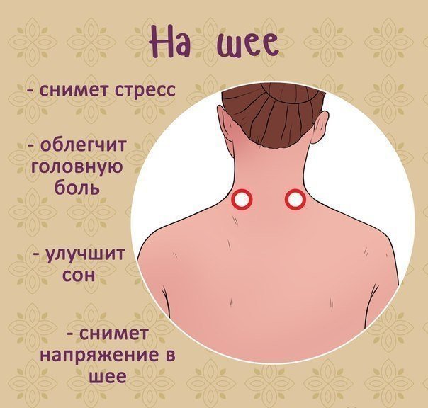 1576414530_8 (604x576, 48Kb)