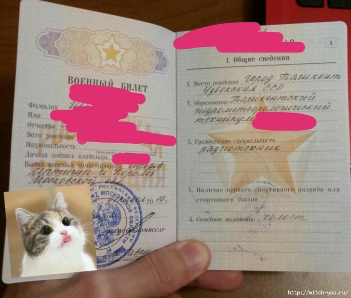 Операция: гражданство Российской Федерации | Военный билет/2493280_002 (700x593, 262Kb)