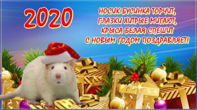 4752699_krisa64k2 (670x374, 76Kb)