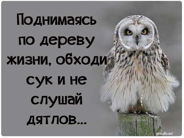 i (640x480, 139Kb)