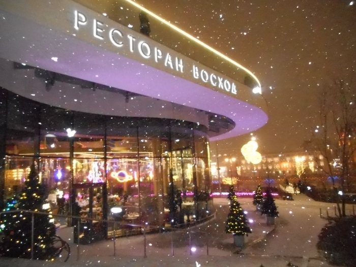 4878453_ydekabr_056 (700x525, 271Kb)