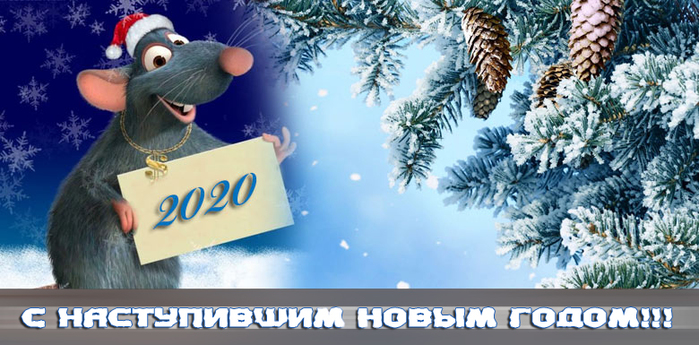 happy-new-year-2020-399-1 (700x345, 271Kb)