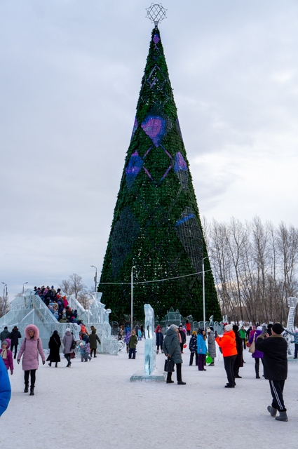 DSC02072 (425x640, 280Kb)