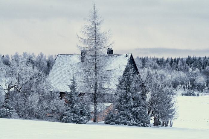 seiffen_winter (1000x764, 58Kb)