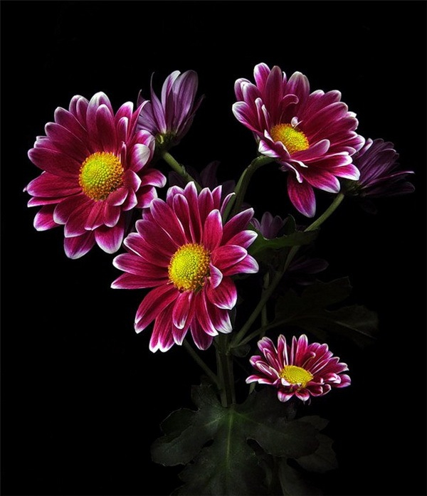 52b8bbe7d4c5.jpg 14 (700x797, 215Kb)