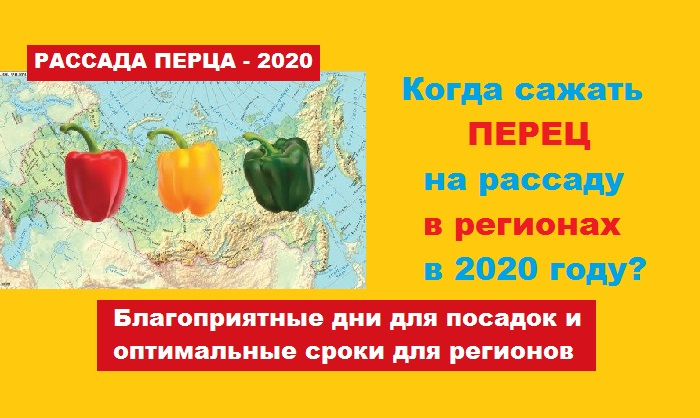 Какого числа сажают перцы в 2024 году. Когда сеять перец на рассаду в 2020 году. Благоприятные дни для посадки перца на рассаду в 2020. Сажаем перцы в феврале. Сеять перцы на рассаду благоприятные дни.