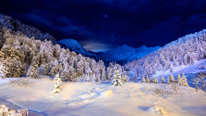 2017Winter_Winter_night_in_a_snowy_forest_111408_ (700x393, 324Kb)
