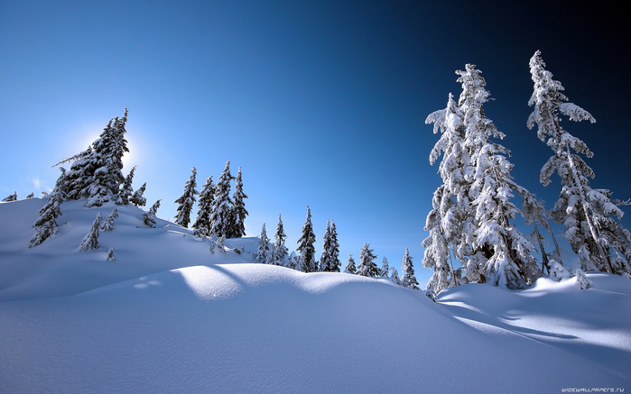 winter-wallpaper-1920x1200-003 (700x437, 355Kb)