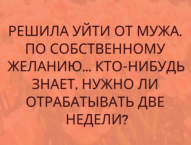 3416556_cc7f753fec0ct (631x480, 65Kb)