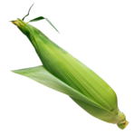 corn_PNG5290 (148x150, 18Kb)