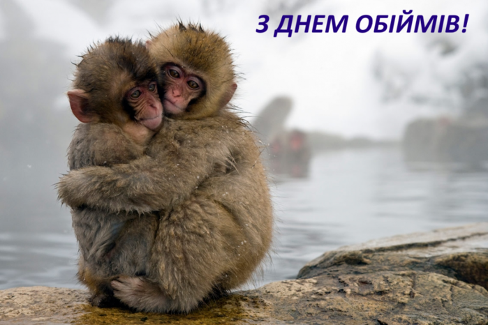 1579524424-6982 (700x466, 459Kb)
