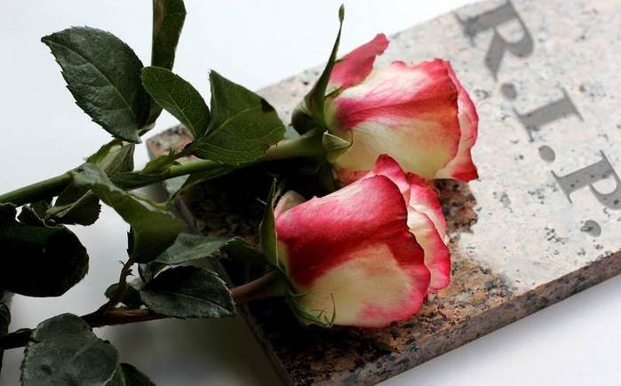 rest-peace (700x435, 39Kb)