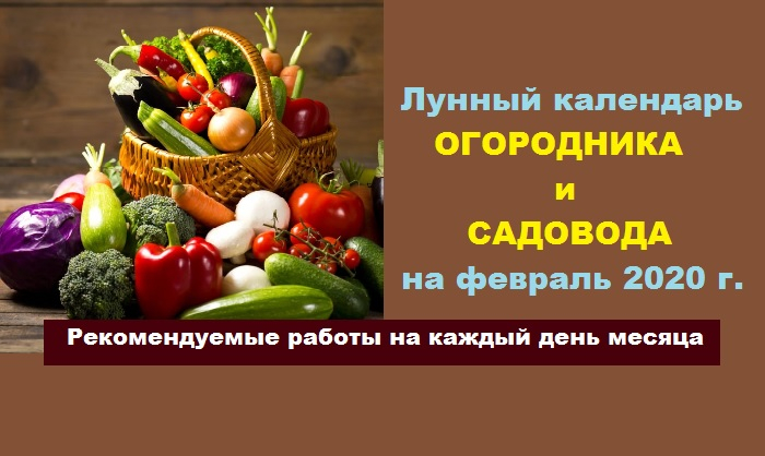 Календарь огородников на 2020 год Лунный календарь огородника и садовода на февраль 2020: рекомендуемые работы на 