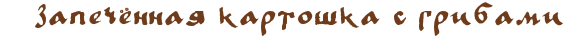 (1) (568x38, 5Kb)