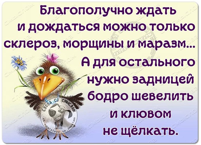 Картинка жду не дождусь