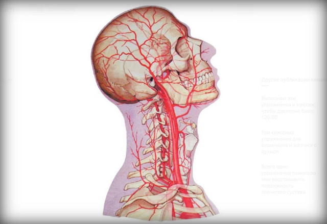 Кровоток в шейном отделе