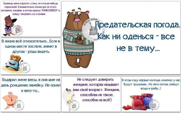 5672049_1454524827_frazki (700x437, 80Kb)