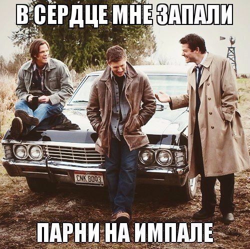 0-0ASBSnf4yJS4 (500x499, 92Kb)