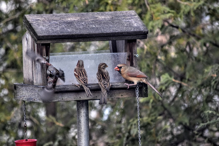 p5e (700x466, 339Kb)