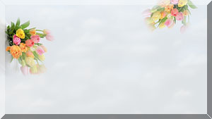 --1 (300x169, 10Kb)