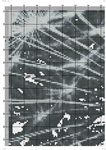  Одуванчик (DMC)-006 (494x700, 406Kb)