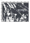  Одуванчик (ПНК Кирова)-012 (494x700, 189Kb)