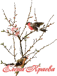ветка-и-птицы (112x150, 45Kb)