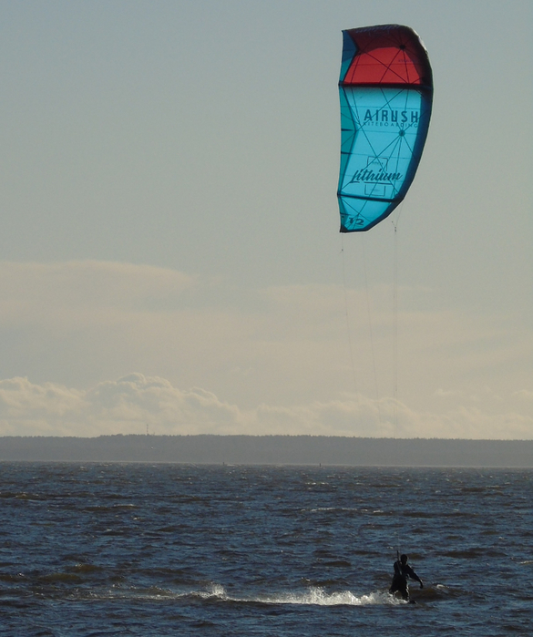 DSC07964 (585x700, 345Kb)