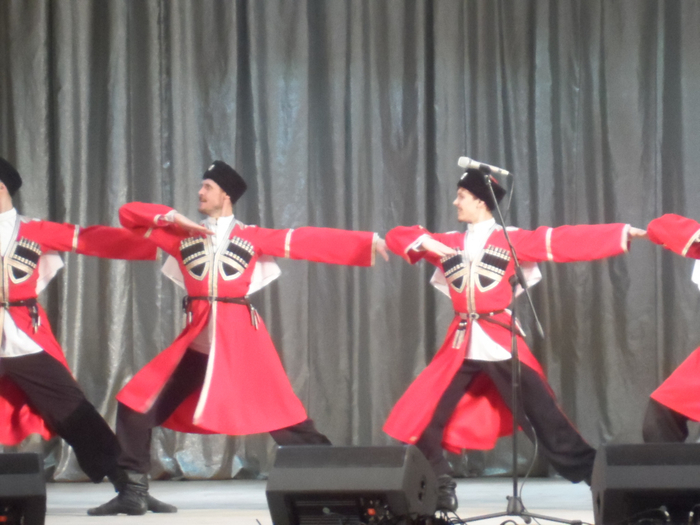 SAM_3486 (700x525, 316Kb)