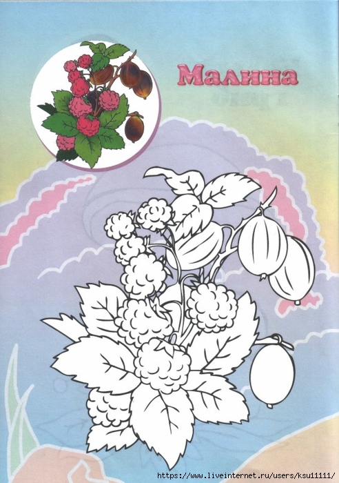 3 (492x700, 261Kb)