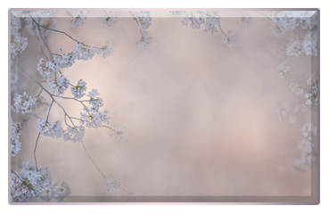 .-.-.-. (369x240, 90Kb)