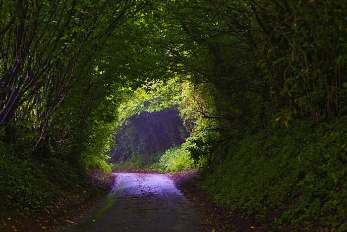 beautiful_roads_47 (700x468, 78Kb)