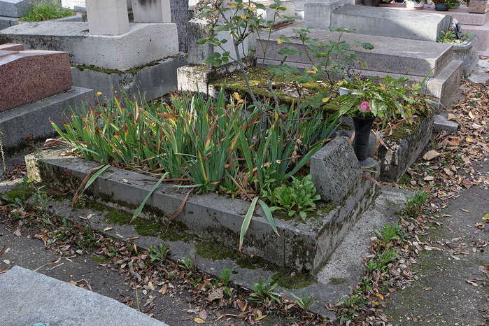 Jean_MoréasPère-Lachaise_-_Division_89_-_Moréas_04 (700x466, 564Kb)