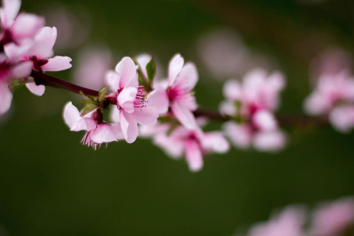 4 (700x466, 161Kb)