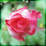 4457709_rp6b (150x150, 22Kb)