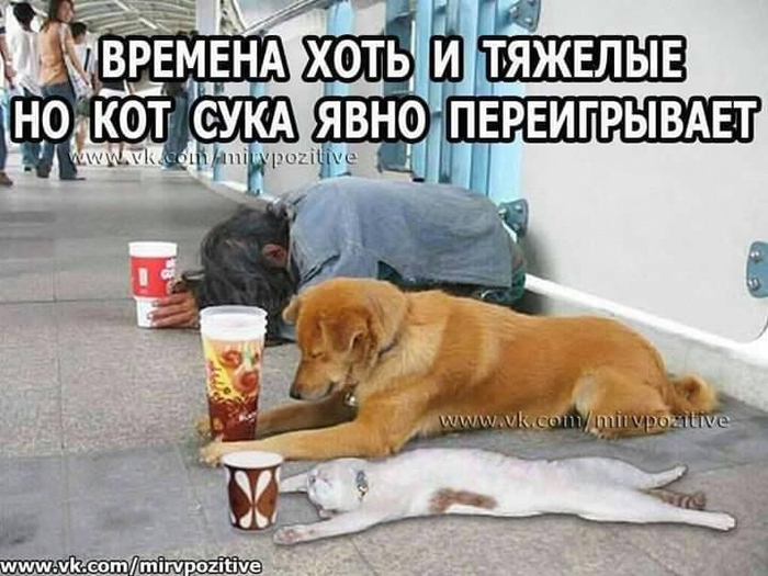  (700x525, 300Kb)