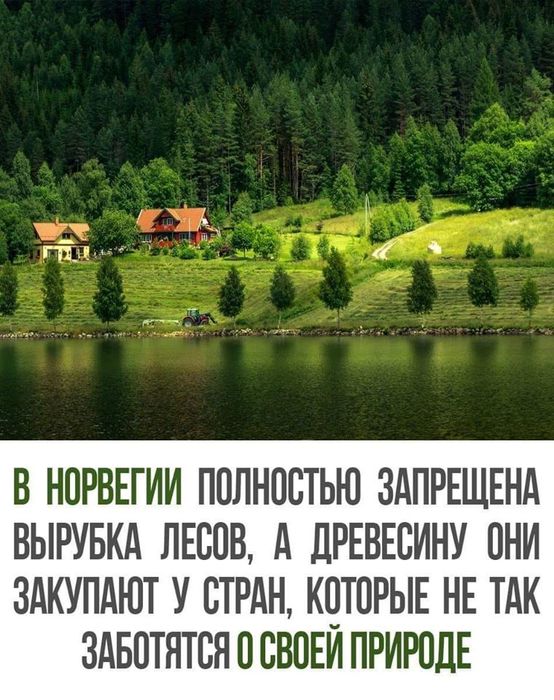  (554x700, 89Kb)