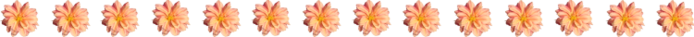  (700x37, 49Kb)