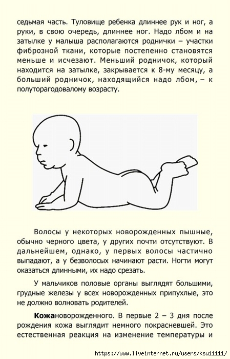 10 (449x700, 218Kb)