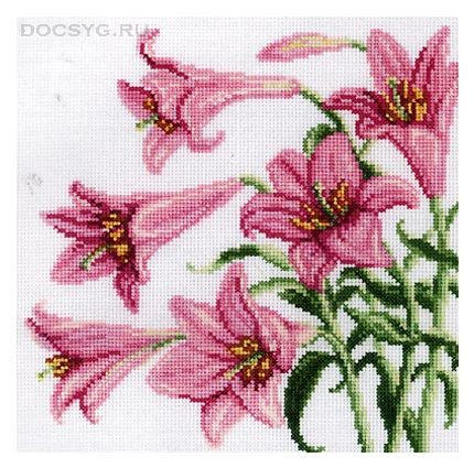 rozovye lilii (430x425, 181Kb)